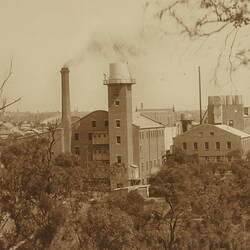 Photograph - Exterior View of Factory and Trees, Kodak, Abbotsford, early 20th century