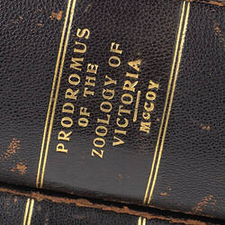 Book spine. Brown leather with gold text.