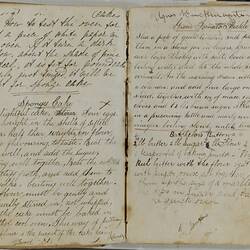 Book - Recipe & Remedy, Eliza Duckmanton, Hand-Written, 1870