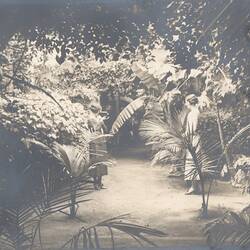 Woman filming another woman in tropical garden.