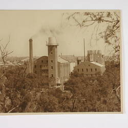 Photograph - Exterior View of Factory and Trees, Kodak, Abbotsford, early 20th century