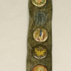 Strip of green blue fabric with single row of thirteen badges.