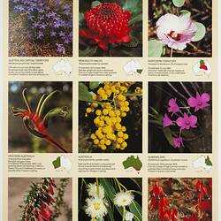 Poster with colour floral images.