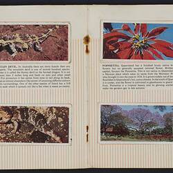 Card album, open, printed text and colour flora and fauna pictures.
