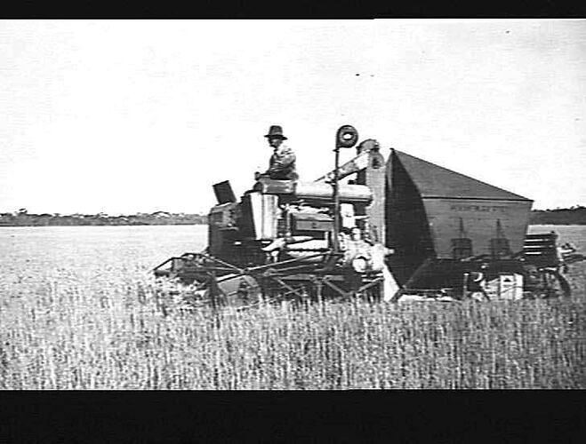 AUTO HEADER WITH GRAIN BOX ON MR. C. GENSCH'S FARM, YORK PENINSULAR, S. A.: 1927/8 HARVEST