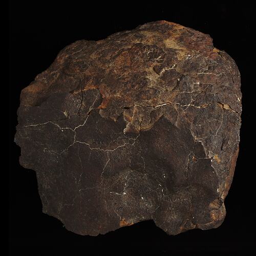 Gilgoin Meteorite. [E 4967]