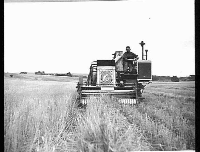 AUTO HEADER FITTED WITH PICK UP ATTACHMENT WORKING AT BROADMEADOWS