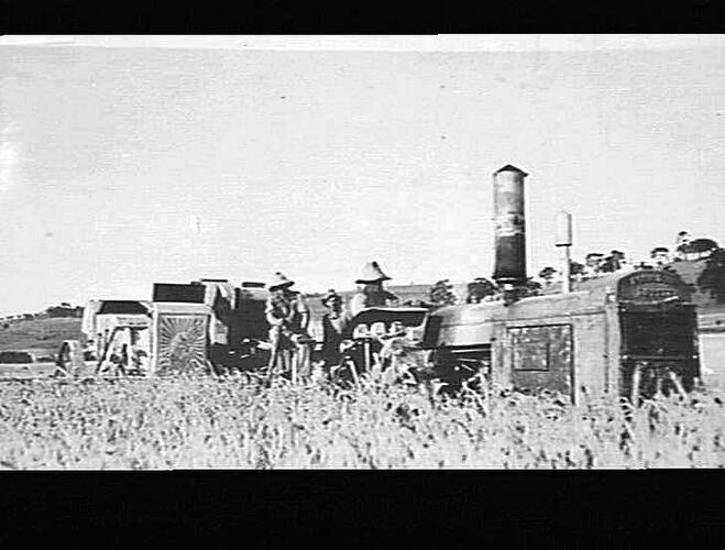 1932 TYPE HEADER WITH BAGGING PLATFORM AT WORK IN 10 BAG CROP OF WHEAT ON PROPERTY OF MR. W. BLUNT, EMUS SWAMP, ORANGE, NSW: JAN 1933