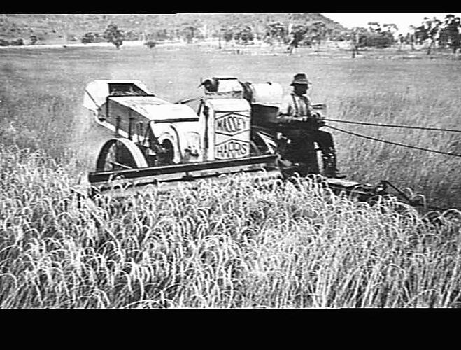 No.3 REAPER THRESHER ON MR. JAMES PERRETT'S FARM, GUNNEDAH, N.S.W.: M-H NO.3: JAN 1934