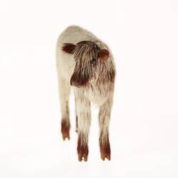 Model of white calf with brown head, shoulders and hooves. Front view.