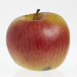 Wax model of an apple painted red and yellow. Has brown stem.