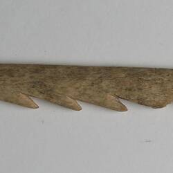 Spearhead found by Baldwin Spencer on the shore of Rio Douglas, Navarino Island, 19th May 1929.