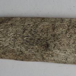 Bone implement, <em>Wa-pitha tush</em> [whale bone], Yaghan, Navarino Island, Magallanes, Chilean Antarctic, Chile
