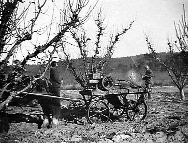 `SUNSPRAY' AT TOOMUC VALLEY ROAD, PAKENHAM: JULY 1924