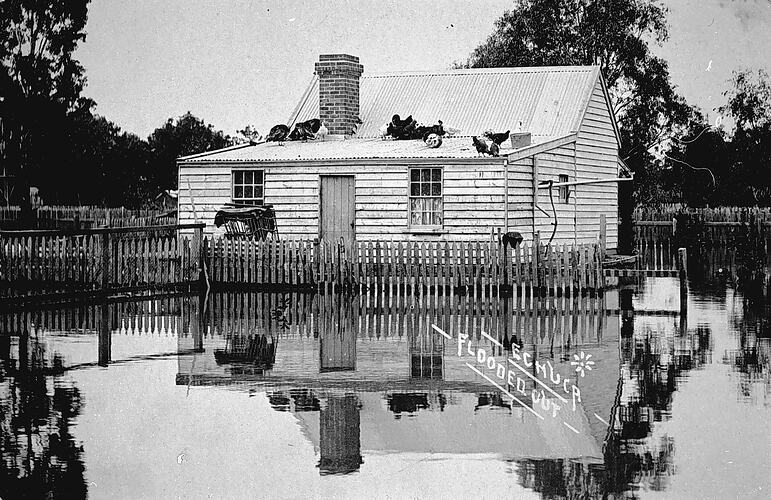 ECHUCA FLOODED OUT