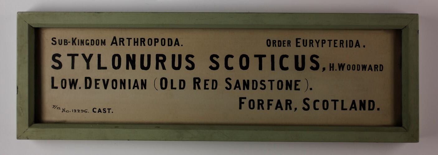 Cream rectangular label with black text and green painted frame.