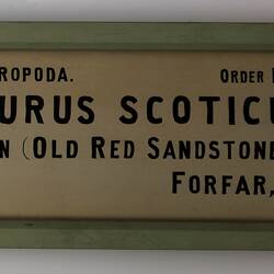 Cream rectangular label with black text and green painted frame.