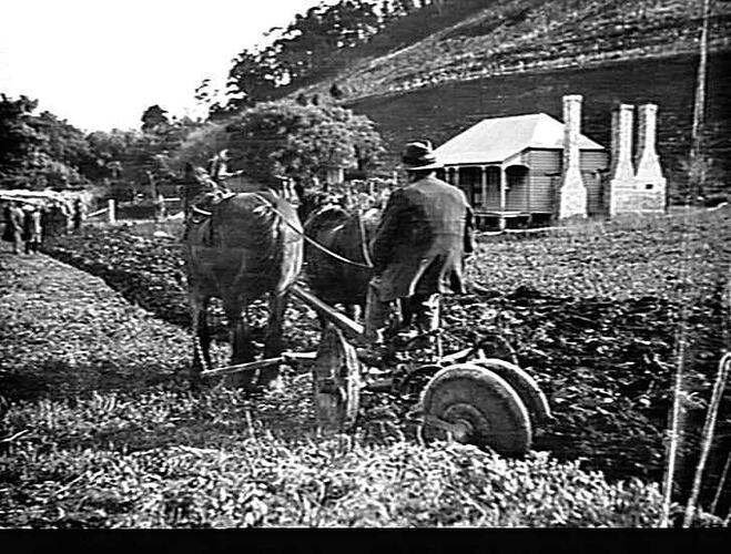 `SUNGRADE' REVERSIBLE PLOUGH AT WORK ON MR. W. B. HARBOUR'S FARM AT MOUNT BUNINGYONG, VIC.: SEPT 1933