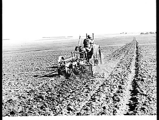RED PACEMAKER AND 3-FUR SUNRISE WITH TRACTOR LEVERS, H.A. DAWE, BRADVALE RD., SKIPTON, VIC. MAY 1940