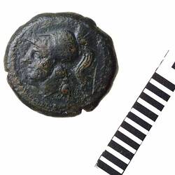 Coin -  Copper, Suessa Aurunca, Campania, Italy, circa 250 BC