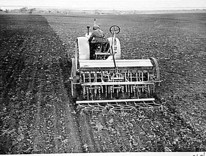 THIS 12-ROW 25-TINE `SUNLEA' STUMP-JUMP CULTIVATING DRILL FITTED WITH FORWARD SCREW-LIFT AND WITH GRASS AND LUCERNE SEEDING ATTACHMENT, DRAWN BY SUNSHINE MASSEY HARRIS TRACTOR, IS WORKING ON MR. SOL GREEN'S PROPERTY, `UNDERBANK', BACCHUS MARSH: JUNE 1946