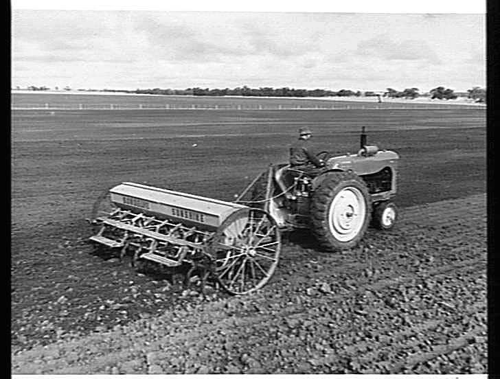 Photograph Hv Mckay Massey Harris Farm Equipment Manufacture And Field Trials 1951