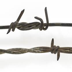 Two barb wire samples. Top is single strand with four point barb. Bottom wire is double strand with two points