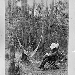 Photograph - 'Nature Notes', by A.J. Campbell, Lower Ferntree Gully, Victoria, 1905