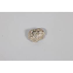 Our Wondrous Planet, Our Wild Family: Dry Specimen - Surf Barnacle, <em>Catomerus polymerus</em> (Darwin, 1854)