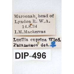 Specimen labels.