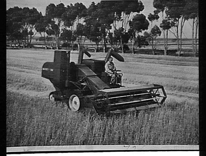 Photograph - H. V. McKay factory and/or equipment