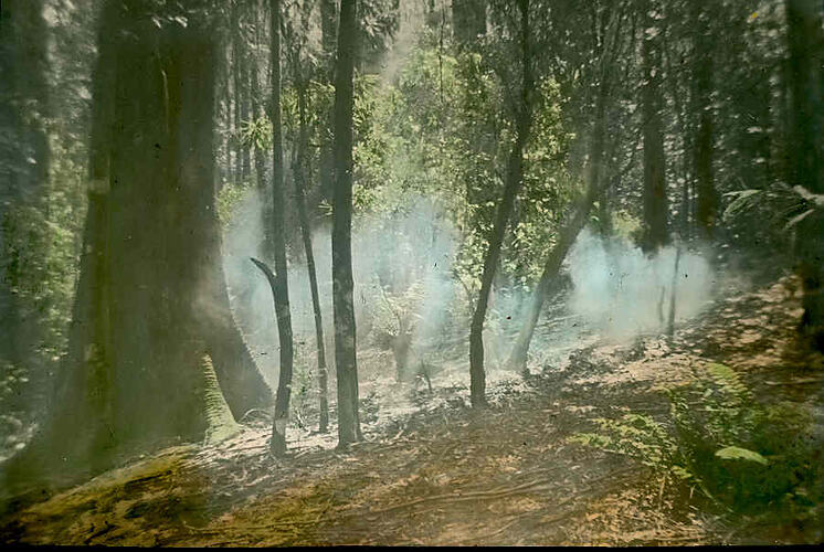 Lantern Slide - Sherbrooke, Victoria, 1936. [BA 1636]