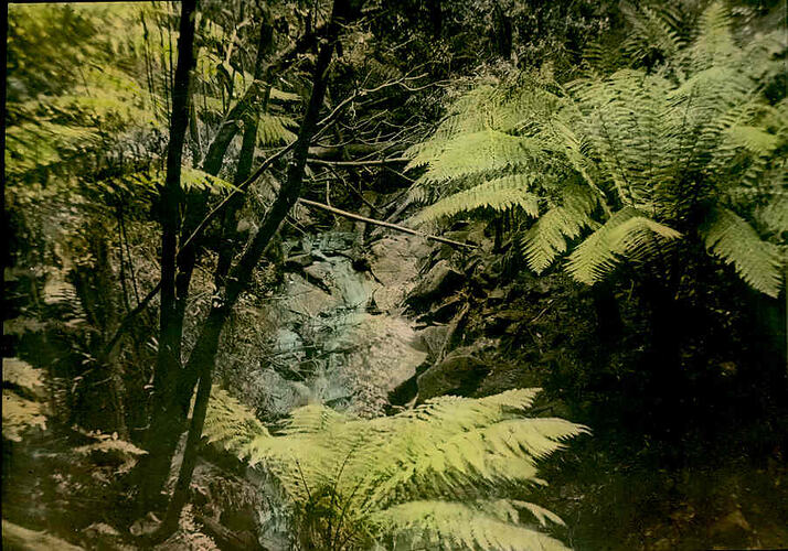 Lantern Slide - The Falls, Sherbrooke, Victoria, 1930. [BA 1786]