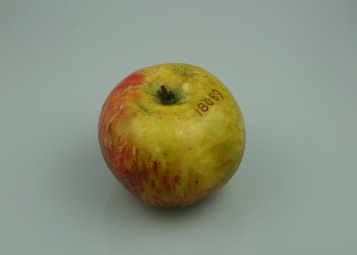Apple Model - Whatmough's King of the Pippins, Victoria, 1875