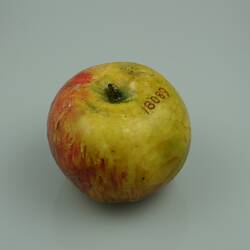Apple Model - Whatmough's King of the Pippins, Greensborough, 1875