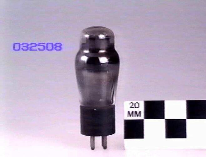 opaque light bulb