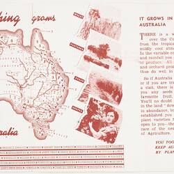 Booklet with brown image and writing.