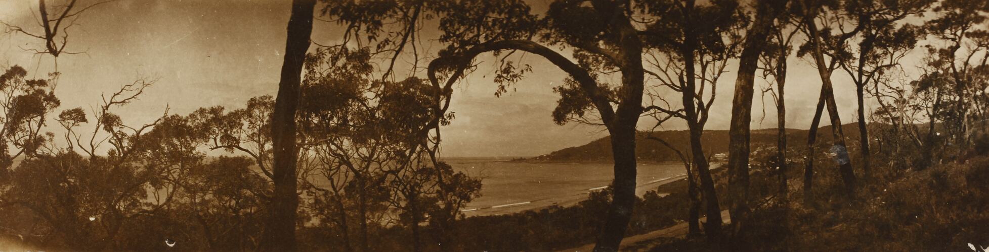 Photograph - Coastal Landscape, Lorne, Victoria, circa 1920s