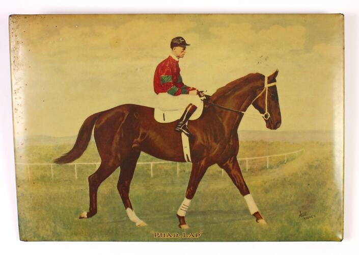Colour picture, race horse and jockey on track.