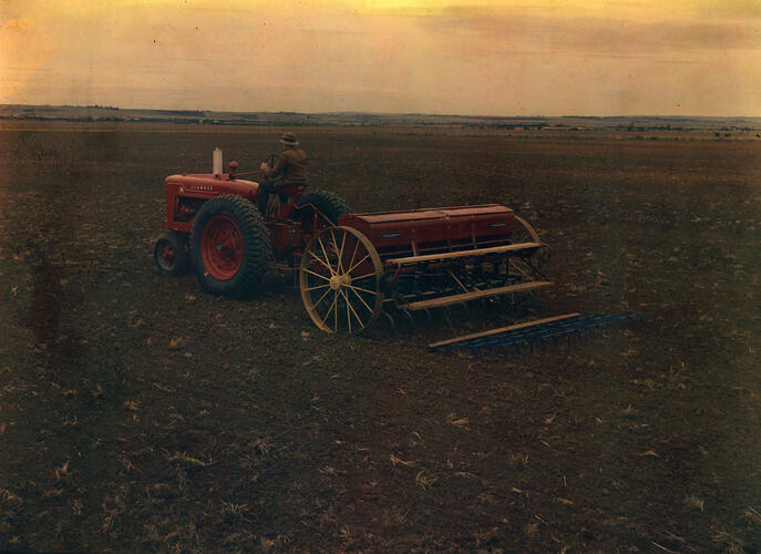 Farmall M Tractor & Cultivator