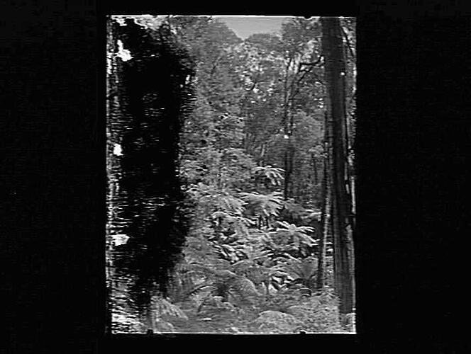 Negative - Glass