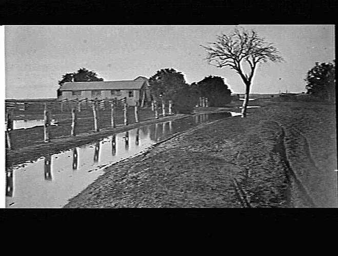 UNKNOWN - COULD BE SWAN HILL