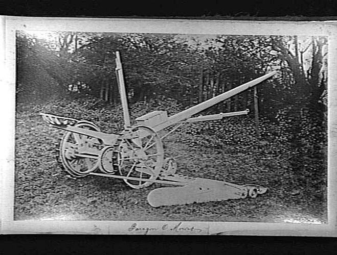 Photograph