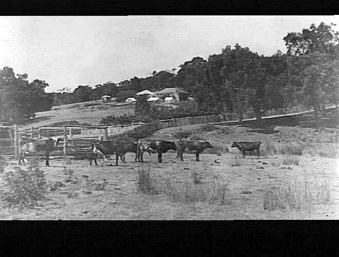 Lantern Slide