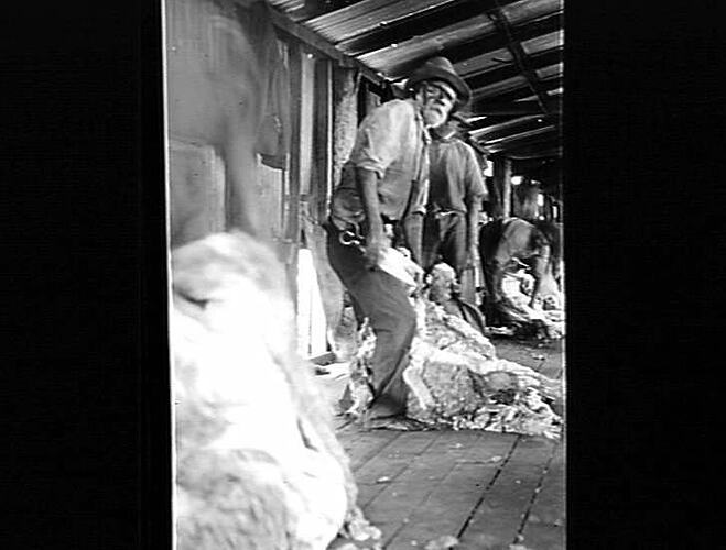Negative - Aboriginal Shearers, Mardie Station