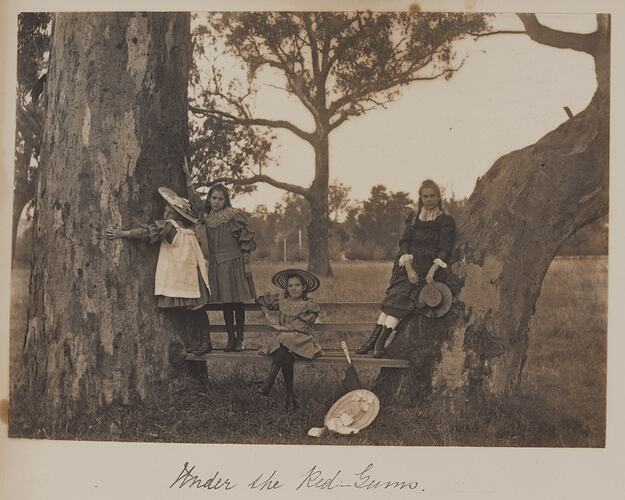 Four girls on a wooden seat under two large trees.