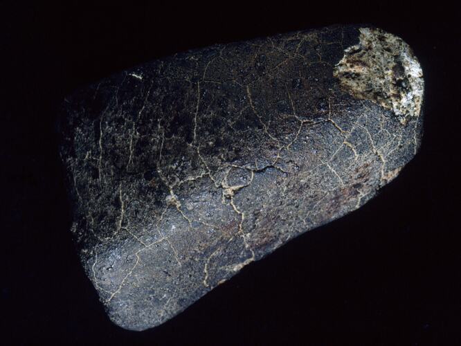 Meteorite specimen.