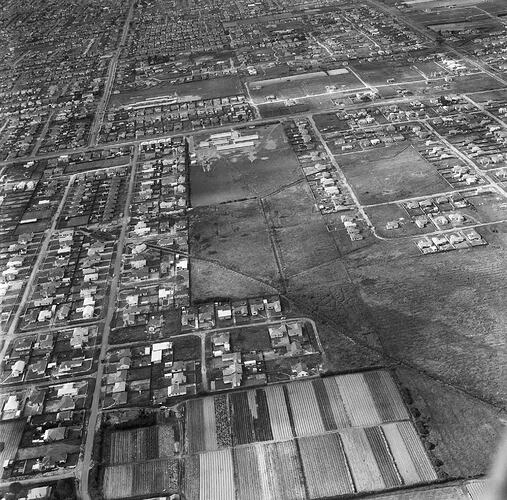 Monochrome aerial photograph of Moorabbin.