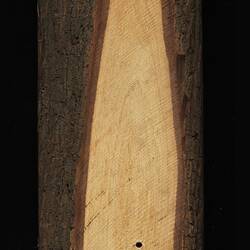 Back of timber sample. Dark wood with light central section.