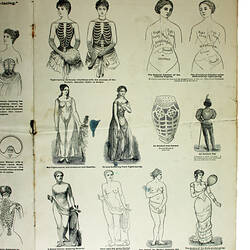 Page 7 of booklet with drawings of women over the ages.